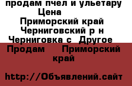 продам пчел и ульетару › Цена ­ 3 000 - Приморский край, Черниговский р-н, Черниговка с. Другое » Продам   . Приморский край